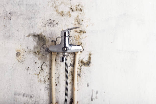 Best Water Damage Restoration  in Arthurdale, WV
