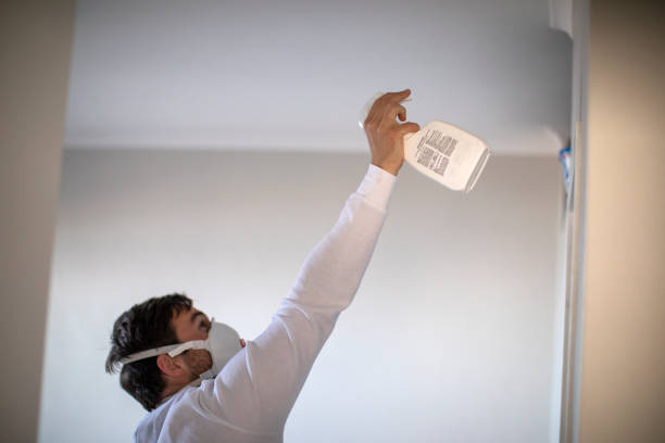 Best Mold Cleaning Services  in Arthurdale, WV
